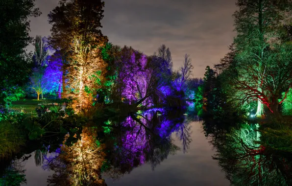 Картинка свет, деревья, ночь, огни, пруд, парк