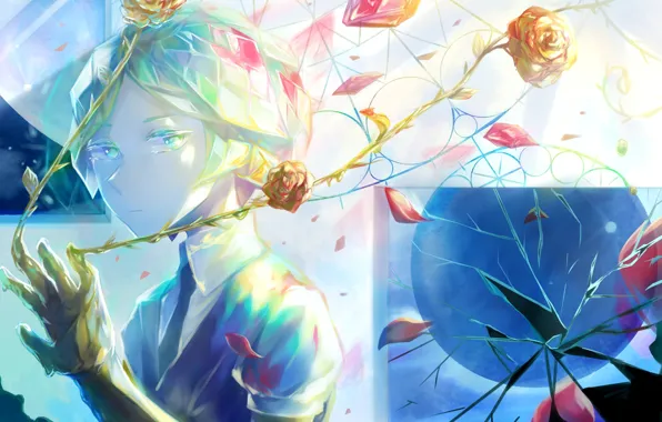 Взгляд, девушка, розы, Houseki no Kuni