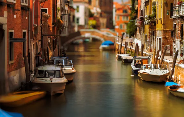 Цветы, мост, лодка, дома, утро, катер, Италия, Венеция