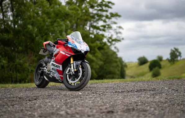 Red, Ducati, White, Panigale V4S