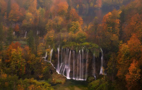 Картинка осень, лес, деревья, водопад, каскад, Хорватия, Croatia, Plitvice Lakes National Park