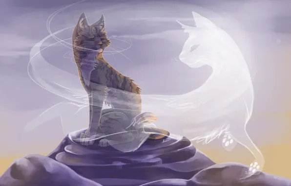 Кот, арт, призрак