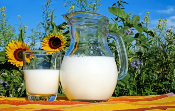 Картинка лето, подсолнухи, стакан, молоко, кувшин