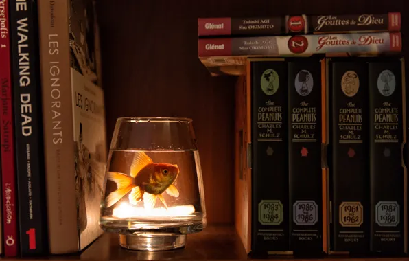 Картинка вода, стакан, книги, рыбка, шкаф