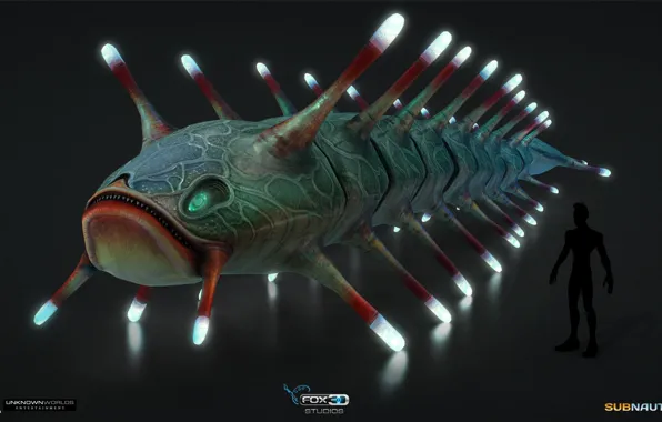Морда, человек, вид, существо, Subnautica