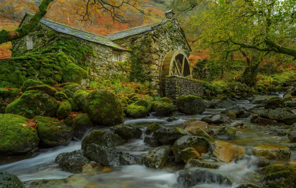 Картинка осень, листья, деревья, ручей, камни, мох, водяная мельница