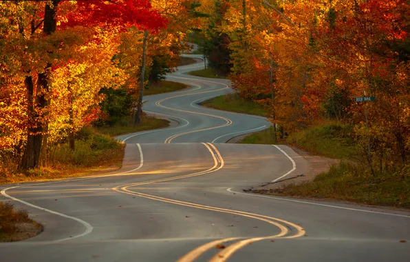 Картинка дорога, осень, солнце, деревья, USA, Wisconsin, Jackie Novak