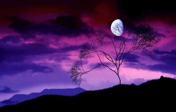Ночь, ветки, дерево, луна, 156