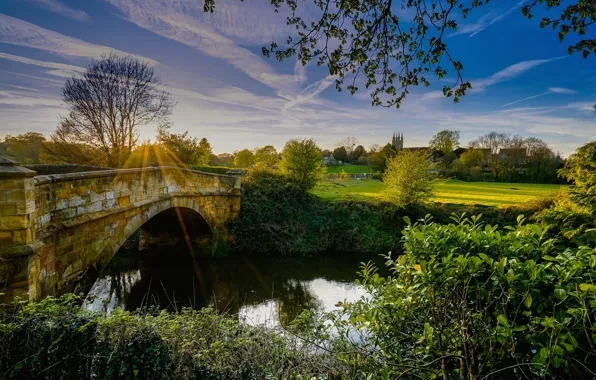 Мост, река, Англия, Кент, кусты, England, Kent, River Medway