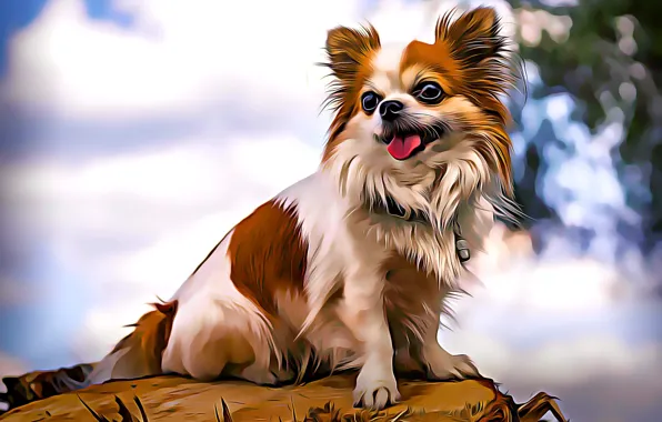 Собака, малыш, пес, dog, компьютерная графика, питомец, pet, Chihuahua
