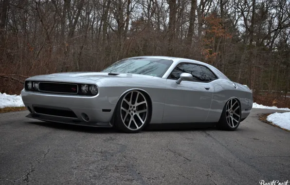 Картинка Dodge, Challenger, R/T Road