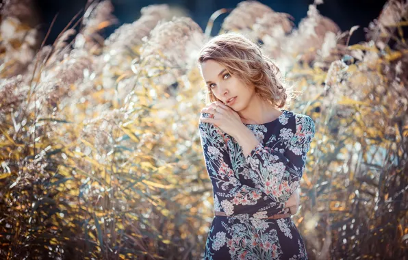 Картинка лето, девушка, природа, Tanja