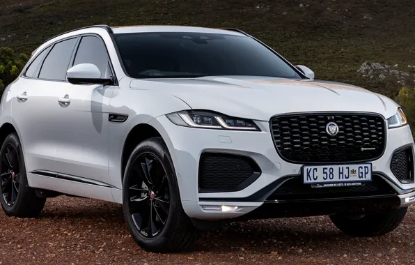 Мощь, Ягуар, внедорожник, экстерьер, белый цвет, 2021, Jaguar F-Pace, Jaguar F-Pace R-Dynamic Black Pack