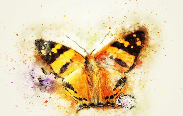 Картинка макро, фон, бабочка, стилизация под живопись