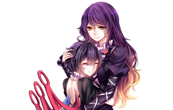 Девушки, арт, Touhou, Тохо, Тоухоу, Sheya, Byakuren Hijiri, Nue Houjuu