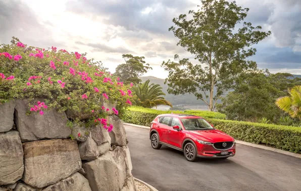 Дорога, авто, цветы, красный, Mazda, CX-5, Akera