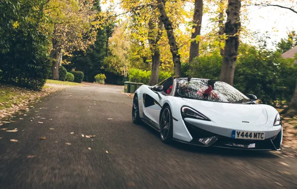 McLaren, суперкар, Spider, 570S, Muriwai White