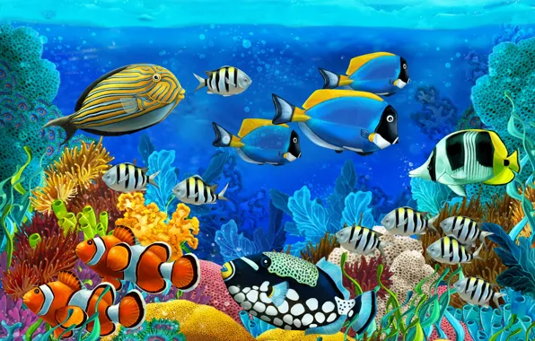 Картинка море, рыбы, кораллы, морское дно