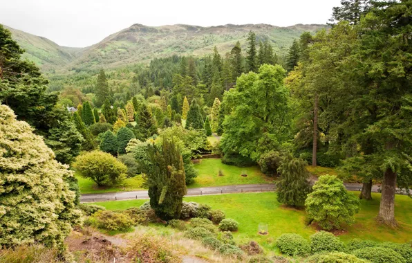 Зелень, деревья, горы, Шотландия, кусты, Younger, сады, Benmore