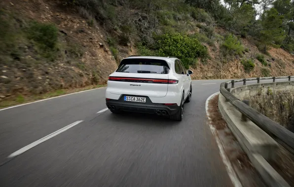 Картинка Porsche, Cayenne, rear view, Porsche Cayenne S E-Hybrid