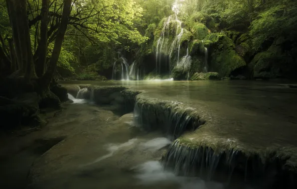 Картинка лес, вода, свет, деревья, природа, река, камни, водопады