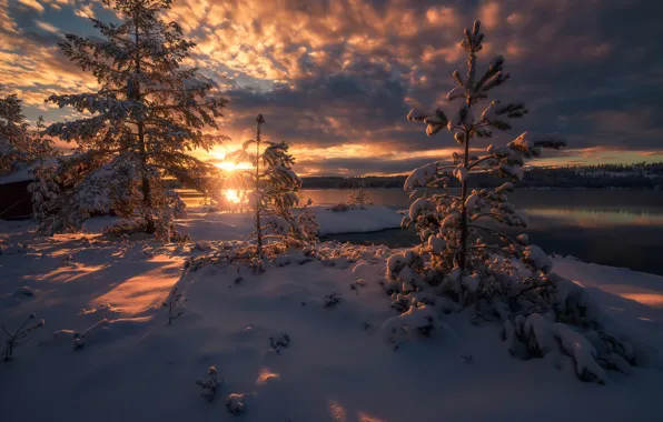 Картинка зима, снег, деревья, закат, озеро, ели, Норвегия, Norway