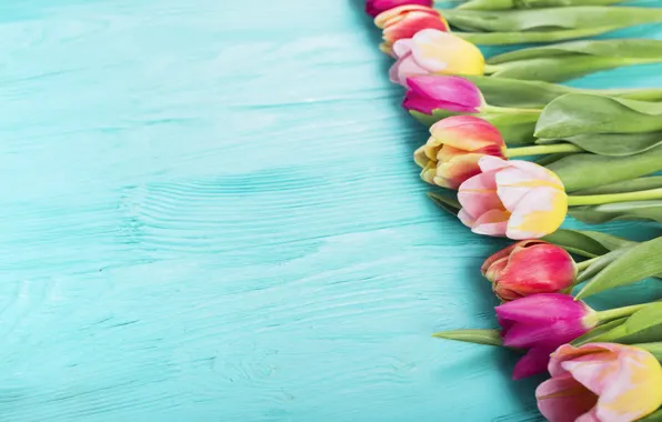 Цветы, colorful, тюльпаны, розовые, wood, pink, flowers, tulips