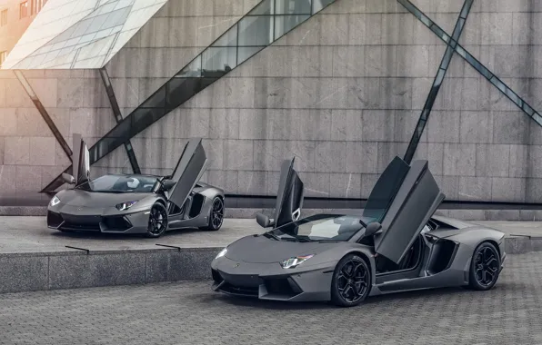 Lamborghini, LP700-4, Aventador, Supercars, Gray, Dual, University of Minnesota