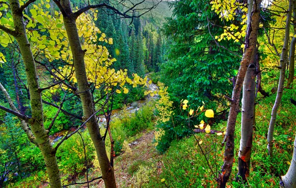 Картинка осень, лес, листья, деревья, горы, река, склон