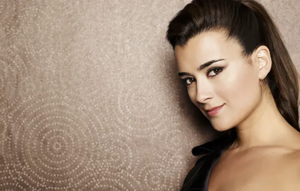 Картинка взгляд, поза, макияж, актриса, hair, Cote De Pablo, Коте де Пабло