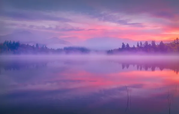 Горы, туман, озеро, отражение, рассвет, утро, штат Нью-Йорк, Adirondack Park