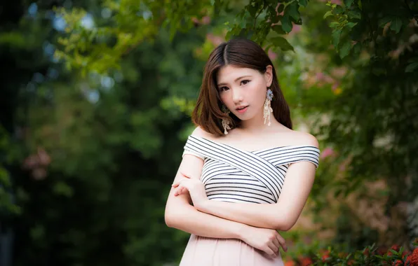 Взгляд, девушка, поза, азиатка, милашка, боке