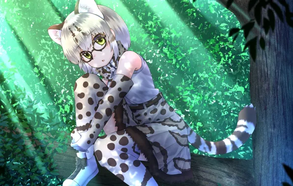 Лес, арт, девочка, kemono friends