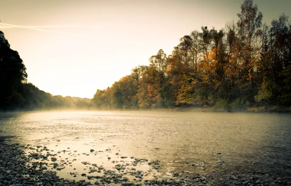 Картинка осень, лес, туман, река, утро