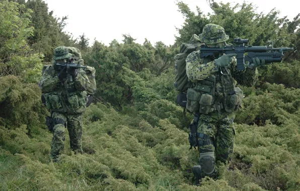 Картинка лес, трава, оружие, солдаты, подразделение, Дании, специальное