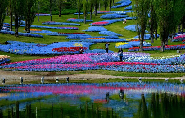 Цветы, пруд, парк, Япония, клумба