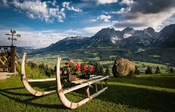 Картинка пейзаж, цветы, горы, природа, камень, Австрия, Альпы, сани