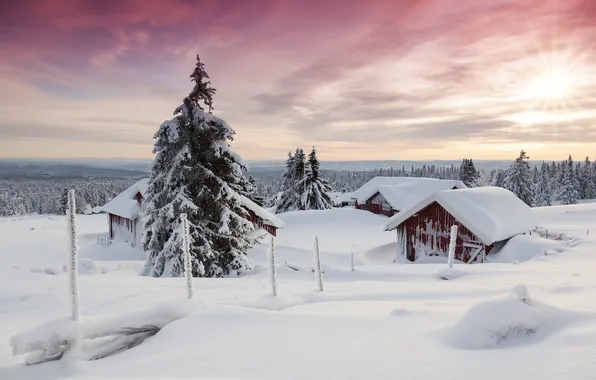 Картинка зима, небо, снег, деревья, дома