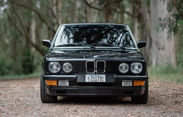 Картинка BMW, E28, 5-Series, 530IS