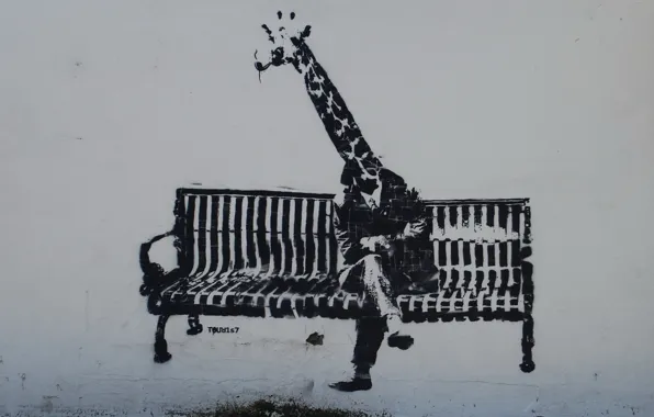 Скамейка, стена, граффити, человек, жираф