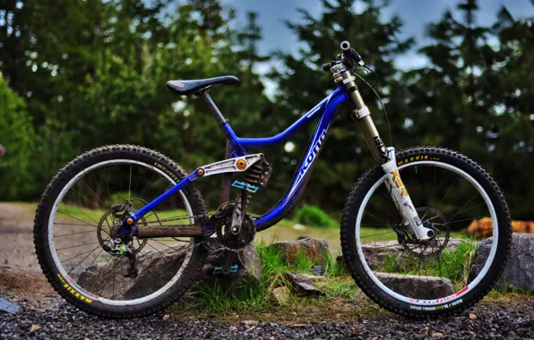 Supreme, Operator, KONA, Downhill
