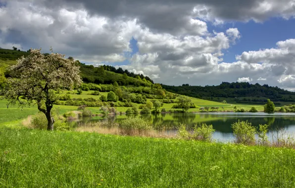 Трава, облака, пейзаж, природа, Германия, Ellscheid