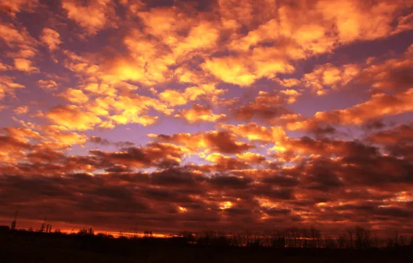 Sky, sunset, cloud