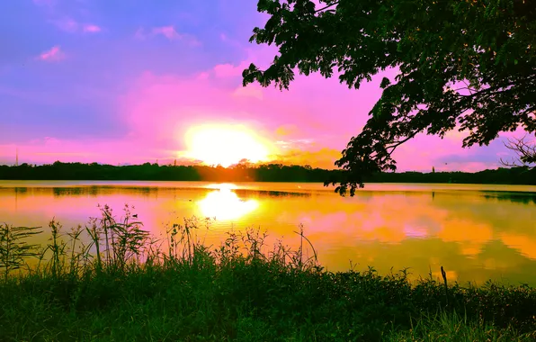Sky, Sun, Water, Sunrise, Dawn, Morning, Lake, Trees
