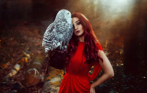 Лес, взгляд, девушка, свет, природа, лицо, поза, туман
