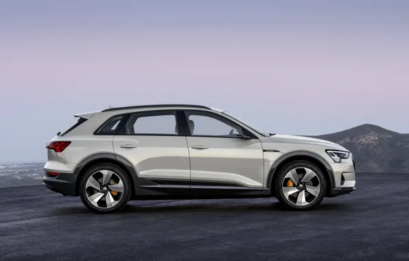 Серый, Audi, профиль, E-Tron, 2019