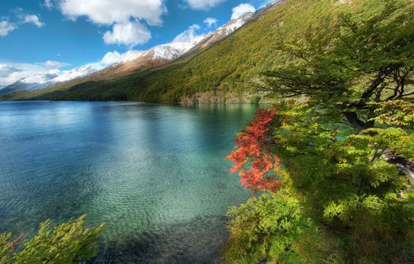Картинка пейзаж, горы, природа, побережье, Аргентина