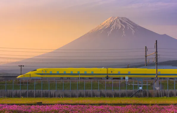 Картинка Japan, twilight, sunset, flowers, dusk, Fuji, bullet train