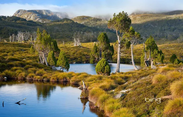 Картинка небо, трава, деревья, пейзаж, горы, туман, озеро