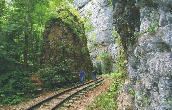 Ущелье, Кавказ, Узкоколейка